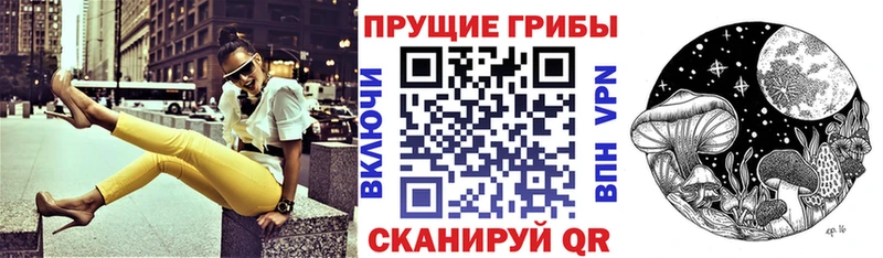 наркошоп  Дыгулыбгей  Псилоцибиновые грибы MAGIC MUSHROOMS 